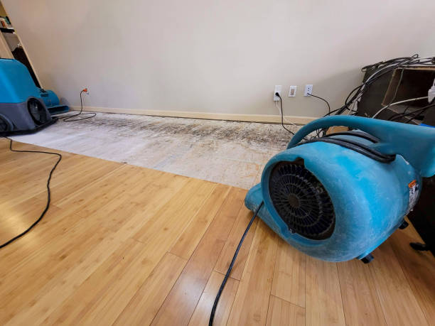 Professional Water Removal technician working in La Ward, TX